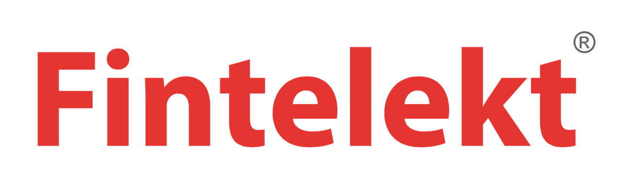 Fintelekt