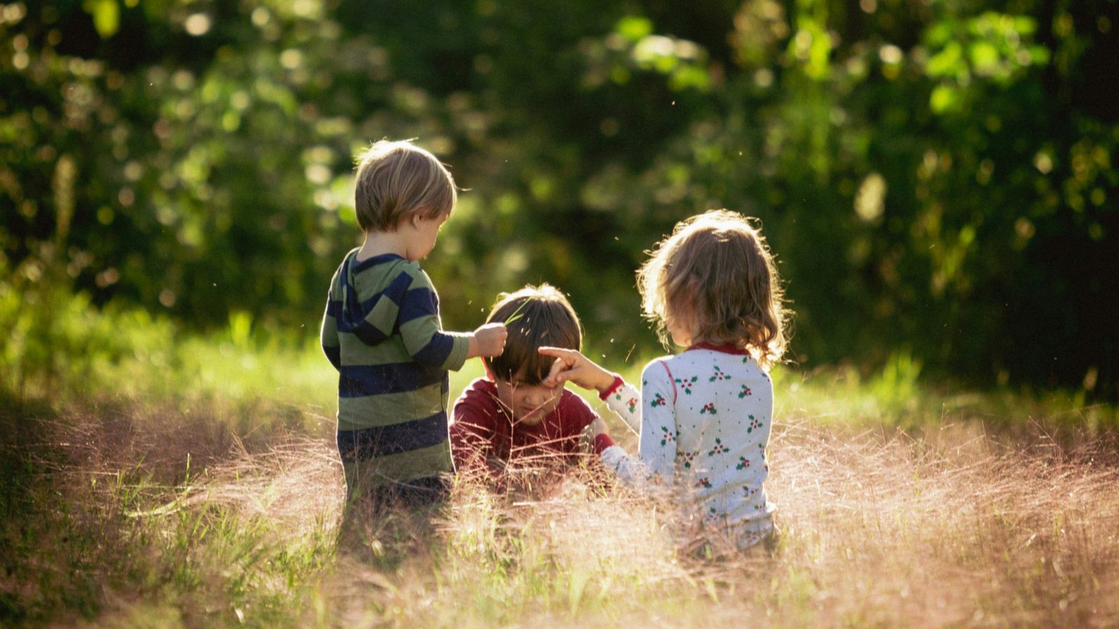 A photo of children playing in a sunlit forest.